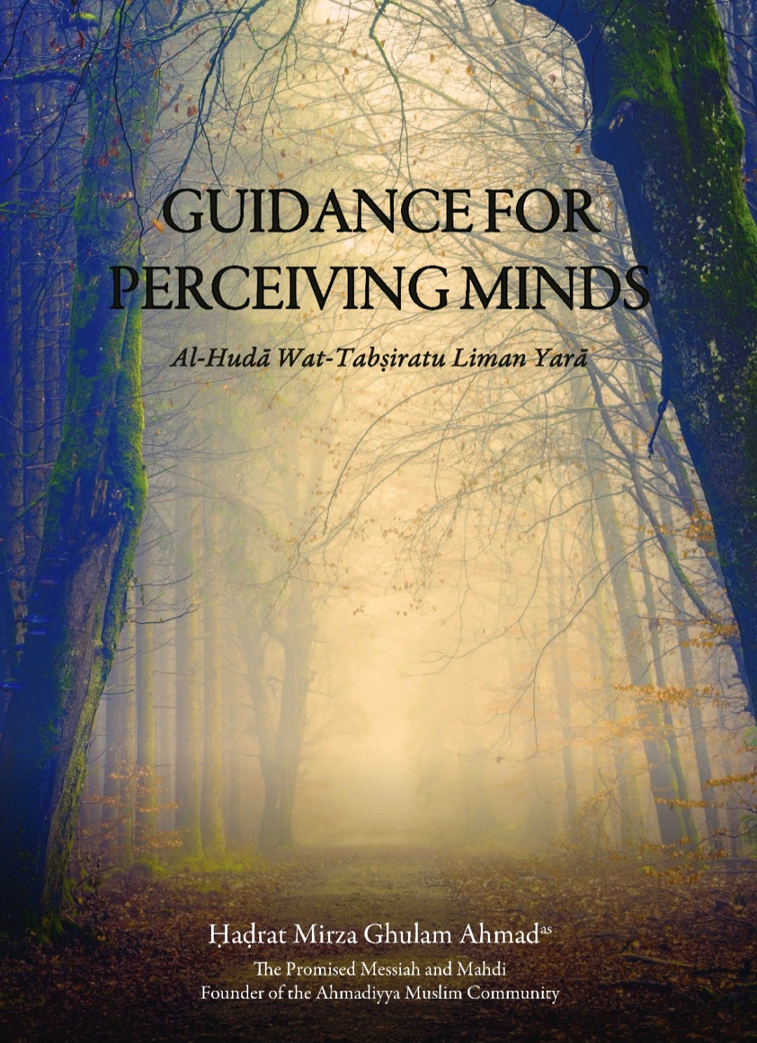 Guidance For Perceiving Minds