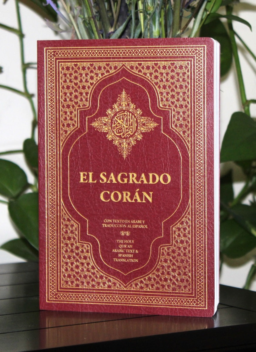 El Sagrado Coran (Paperback, Box of 10)