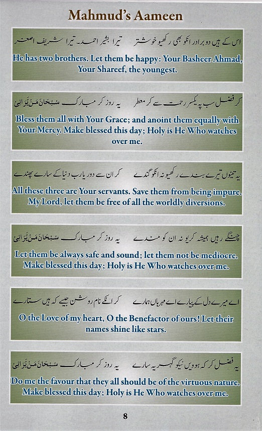Mahmud's Ameen — view 3