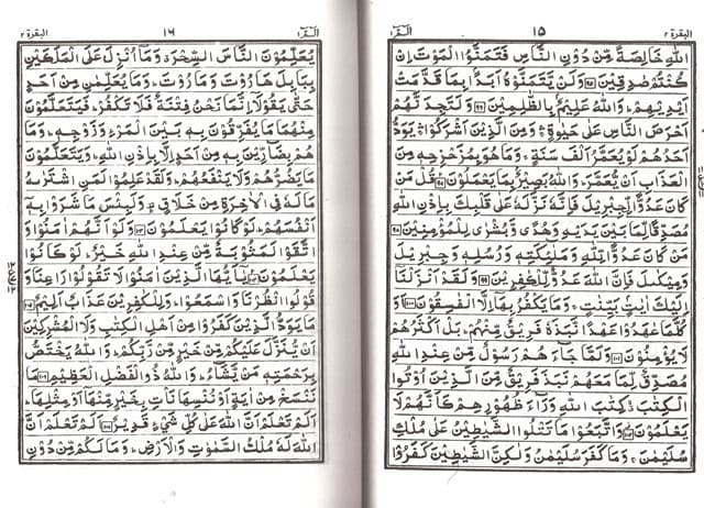 Holy Quran with no translation