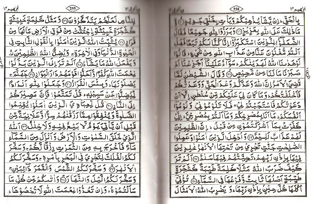 Holy Quran with no translation