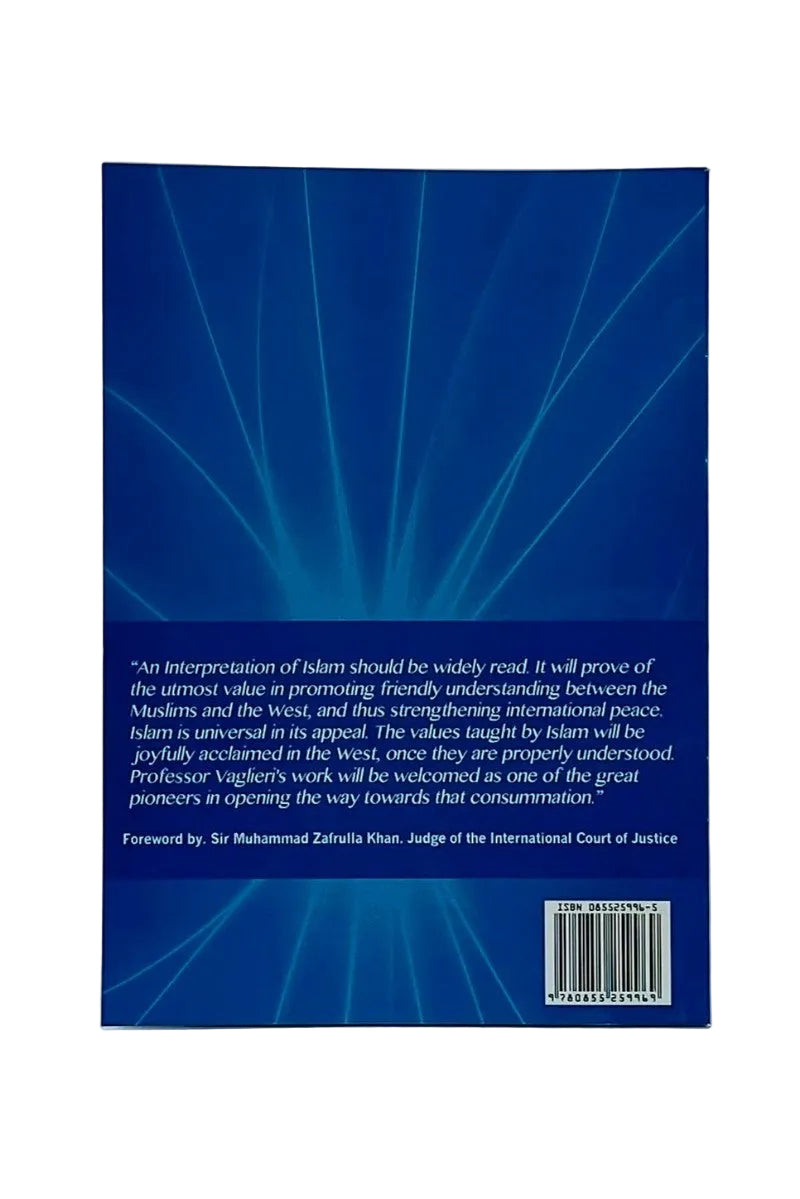 The back cover of a book, featuring a dark blue background with white text and abstract radiating line graphics, photographed against a light gray background.