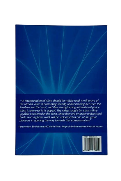 The back cover of a book, featuring a dark blue background with white text and abstract radiating line graphics, photographed against a light gray background.
