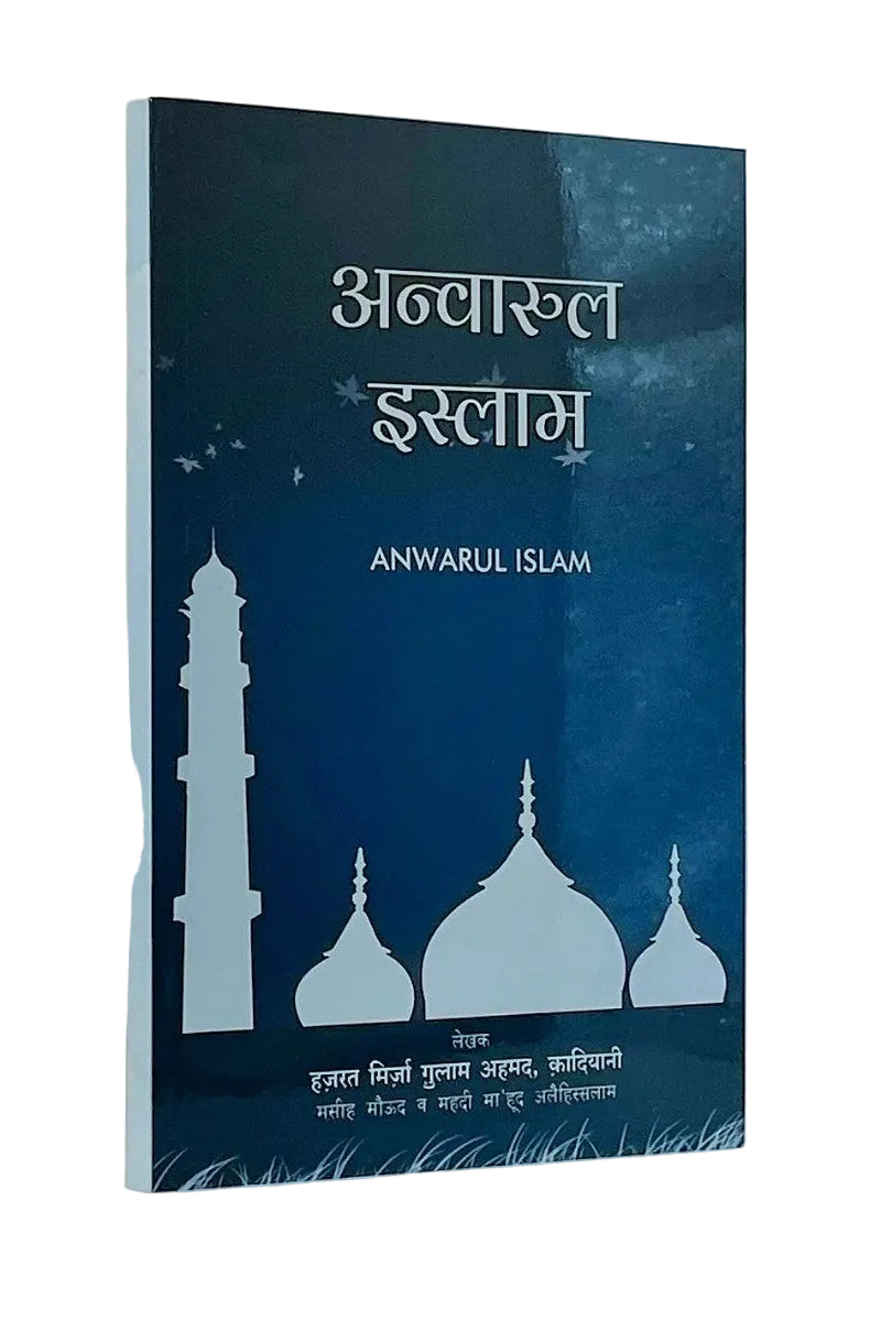 Book cover with silhouettes of a mosque and minarets on a blue background
