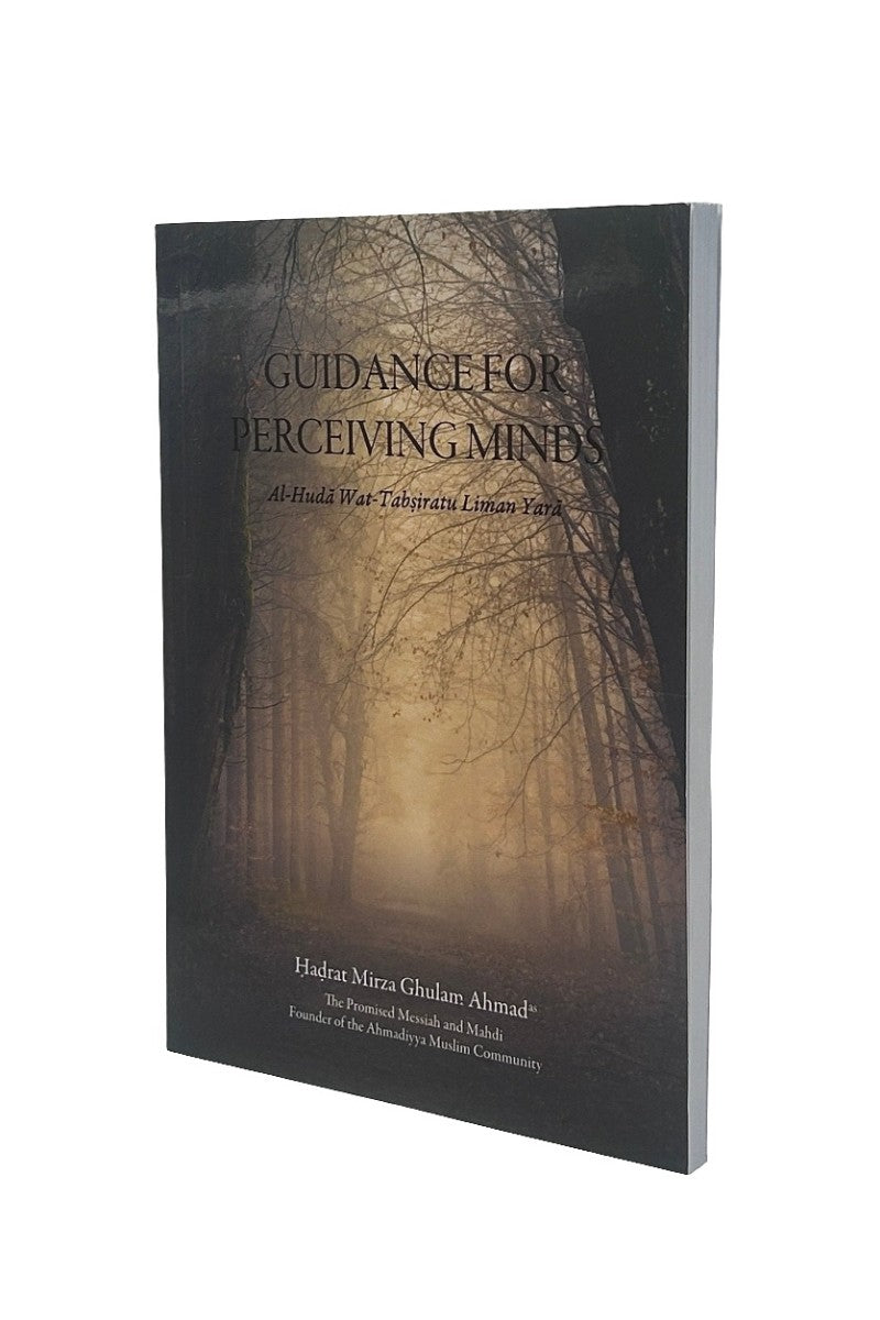 Guidance For Perceiving Minds cover