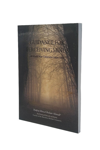 Guidance For Perceiving Minds cover