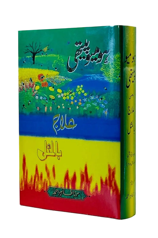 Colorful book cover with artistic design on a white background