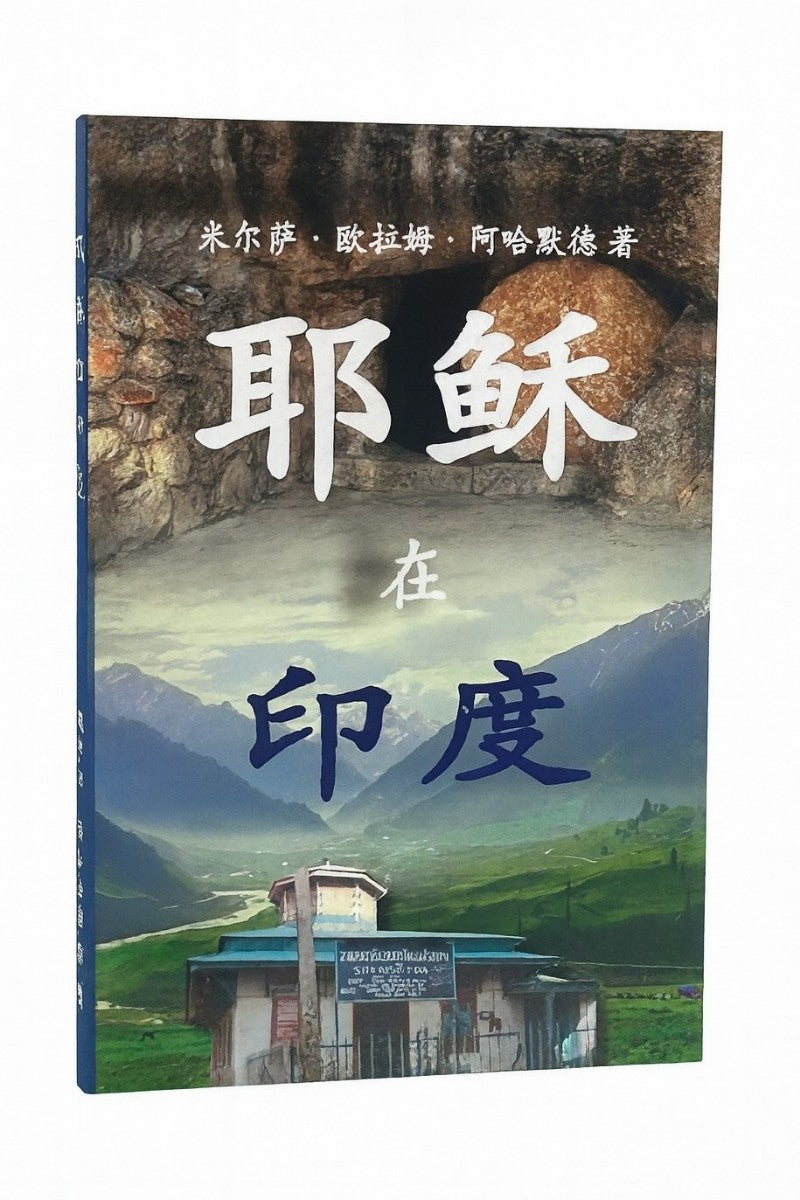 Book cover with mountainous landscape and building, featuring Chinese characters.
