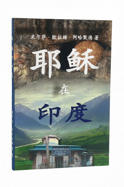 Book cover with mountainous landscape and building, featuring Chinese characters.