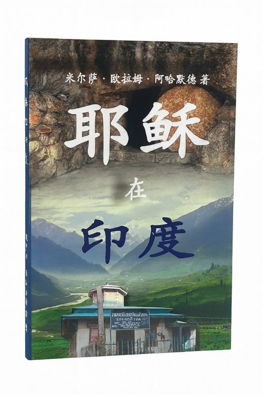 Book cover with mountainous landscape and building, featuring Chinese characters.