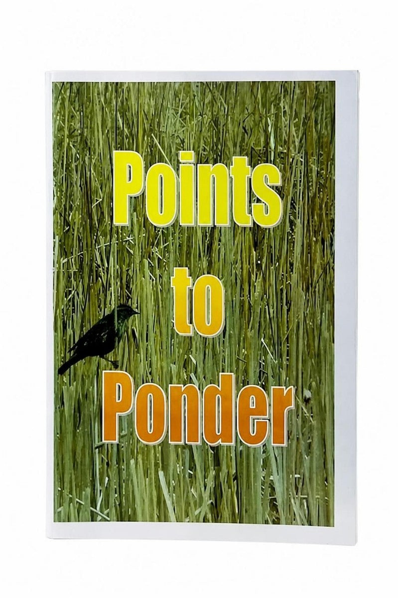 A square art print or card featuring a green marsh grass background with a small black bird and the text 'Points to Ponder' in yellow and orange lettering, shown against a white background.