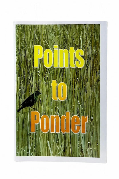 A square art print or card featuring a green marsh grass background with a small black bird and the text 'Points to Ponder' in yellow and orange lettering, shown against a white background.