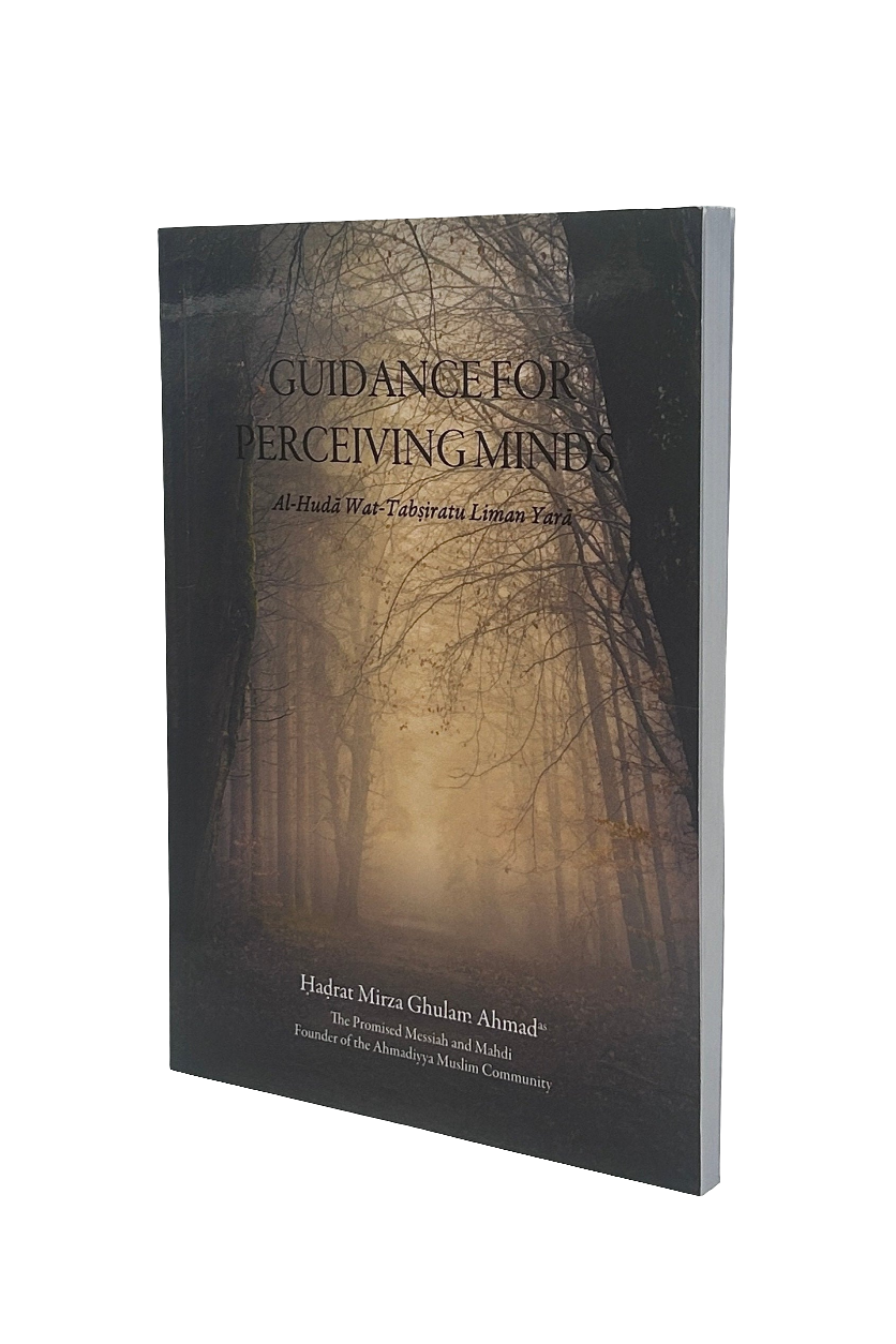 Guidance For Perceiving Minds