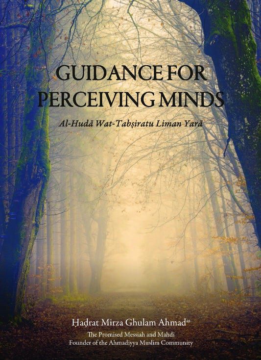 Guidance For Perceiving Minds