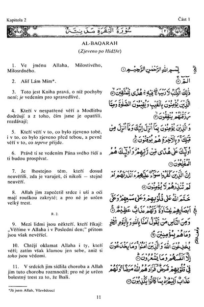 Svatý korán se čínským překladem (Holy Quran with Czech translation )