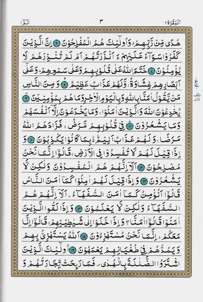 Holy Quran with No Translation (Multicolor)