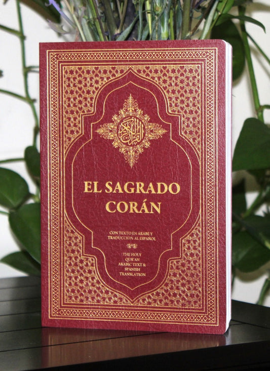 Box of 10 - Holy Quran with Spanish Translation. El Sagrado Coran (Paperback)