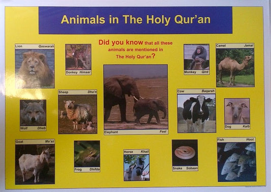 Animals in the Holy Quran