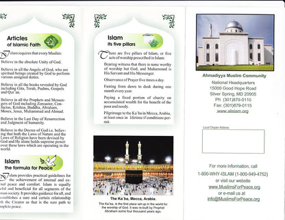 Introduction to Islam (100 pamphlets)