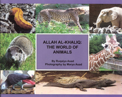 Allah Al Khaliq: The World of Animals